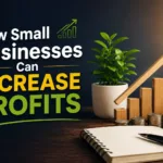 How Small Businesses Can Increase Profits