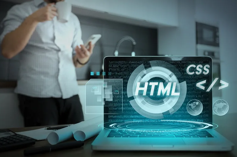 wordpress website development